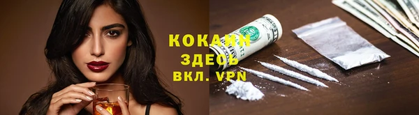 крисы Сосновка