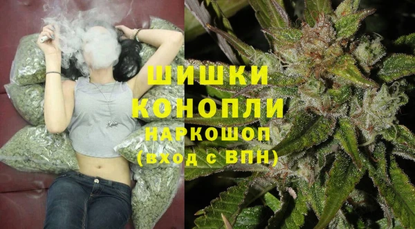 крисы Сосновка