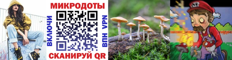 МЕГА ССЫЛКА  где продают   Тайга  Галлюциногенные грибы ЛСД 